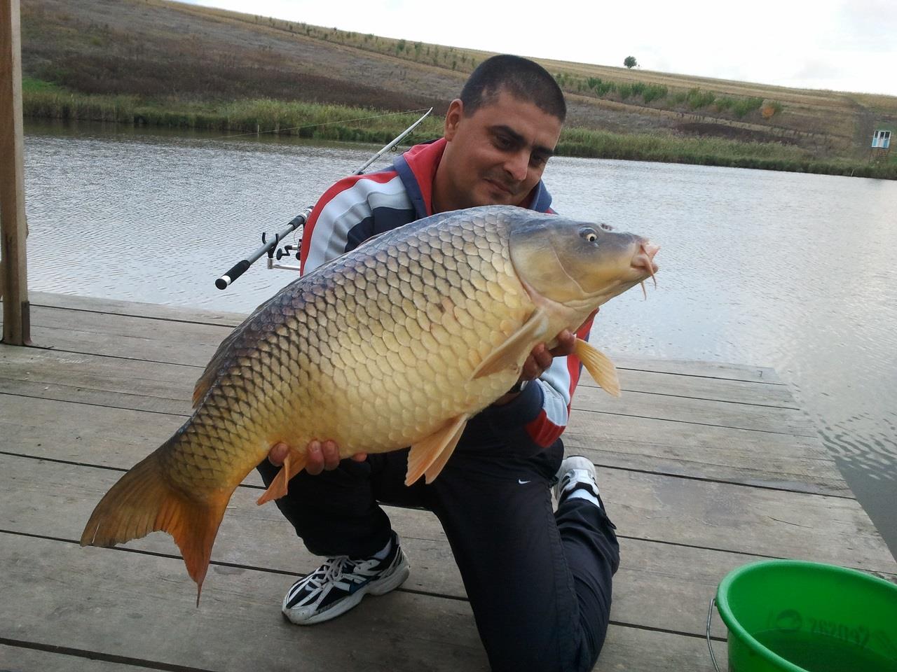 Magura 9, 15.10.2011 - 11,37 kg Magura 9